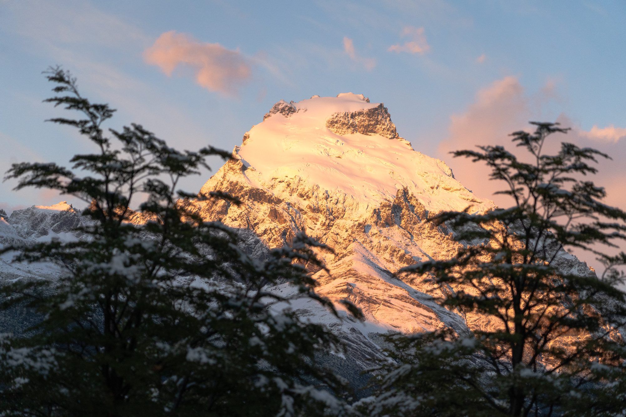 Cerro Solo at sunrise among snowy lenga trees